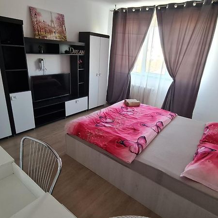 Appartement Garsoniera 30Mp Chrysflatty1 - Free Netflix à Arad Extérieur photo