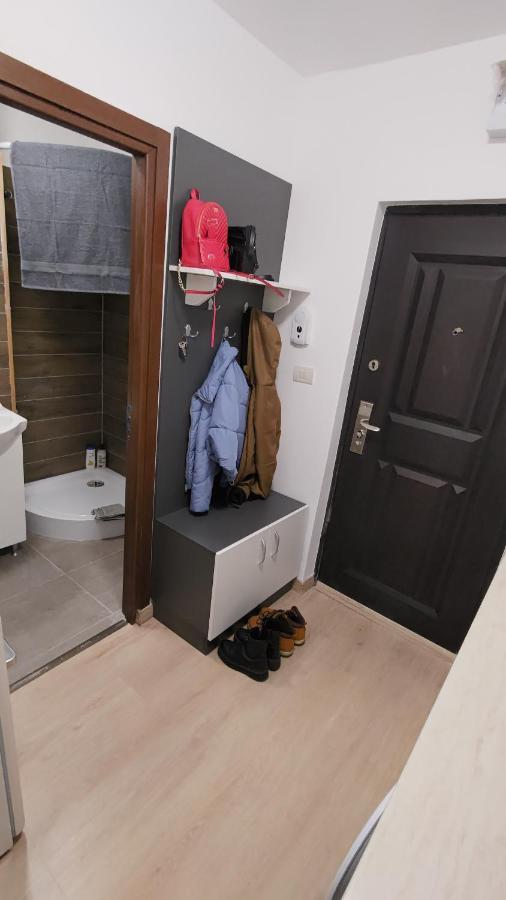 Appartement Garsoniera 30Mp Chrysflatty1 - Free Netflix à Arad Extérieur photo