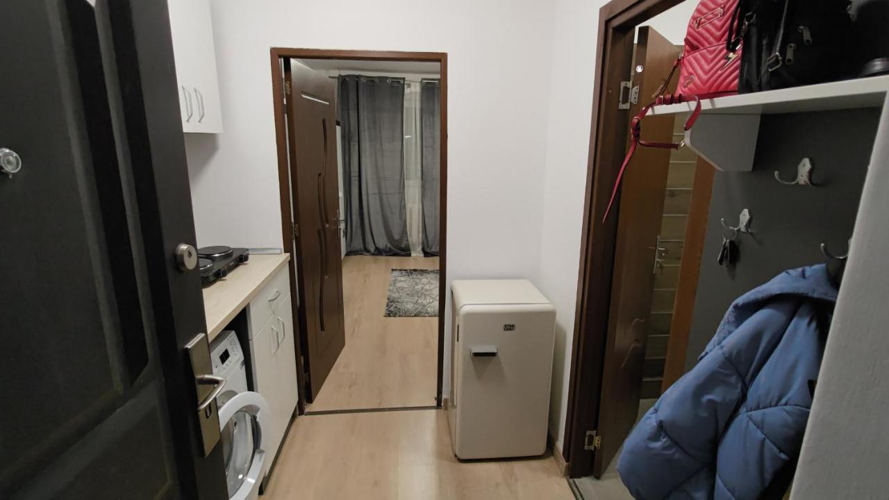Appartement Garsoniera 30Mp Chrysflatty1 - Free Netflix à Arad Extérieur photo