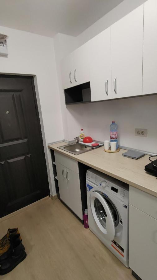 Appartement Garsoniera 30Mp Chrysflatty1 - Free Netflix à Arad Extérieur photo