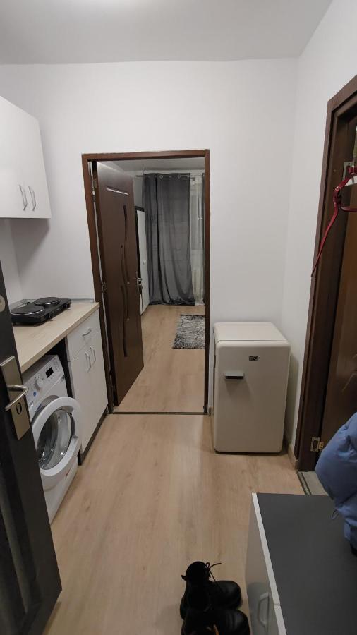 Appartement Garsoniera 30Mp Chrysflatty1 - Free Netflix à Arad Extérieur photo