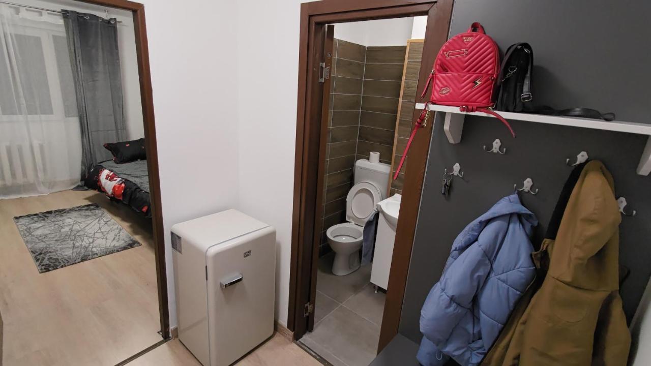 Appartement Garsoniera 30Mp Chrysflatty1 - Free Netflix à Arad Extérieur photo
