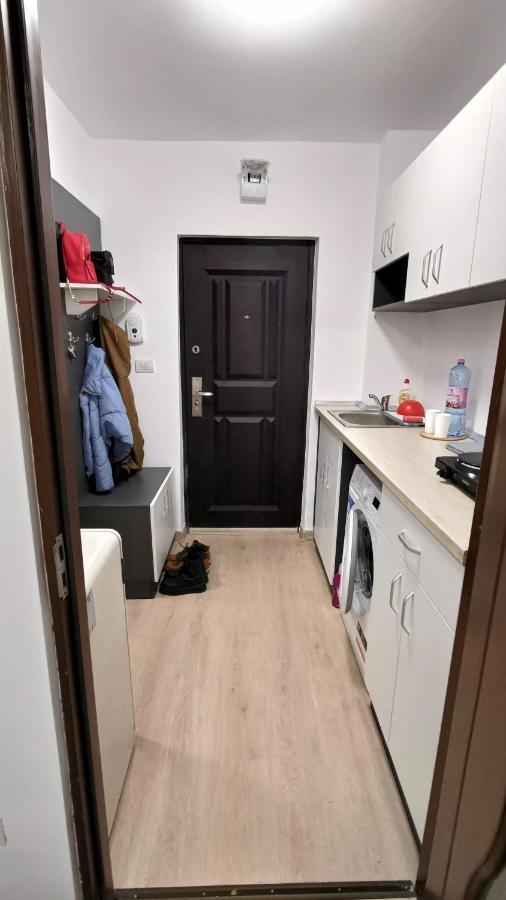 Appartement Garsoniera 30Mp Chrysflatty1 - Free Netflix à Arad Extérieur photo